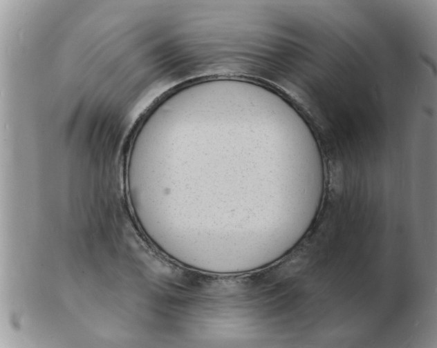 X0000103301078200809122024