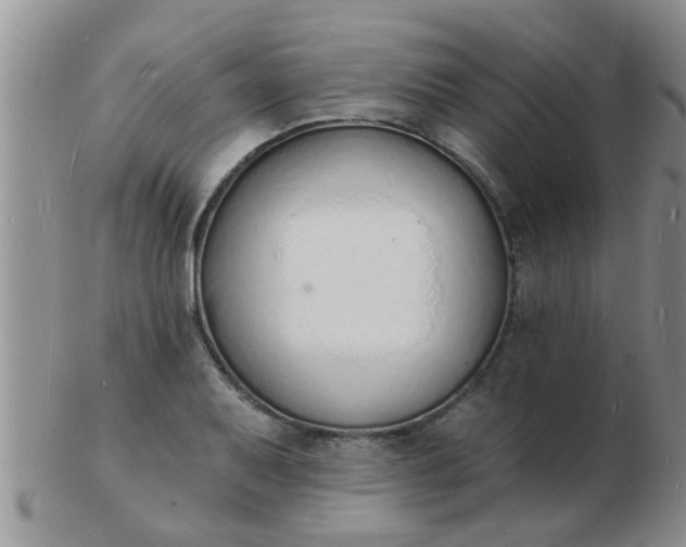 X0000103301079200809122024