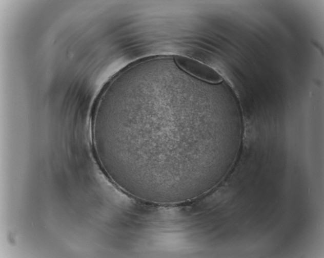 X0000103301080200809122024