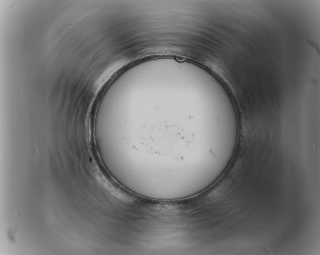 X0000103301082200809122024