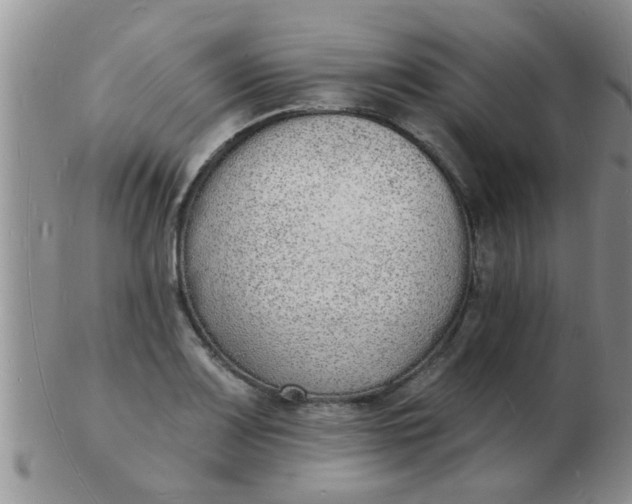 X0000103301083200809122024