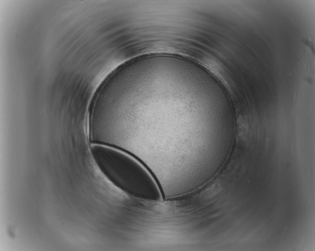 X0000103301084200809122024