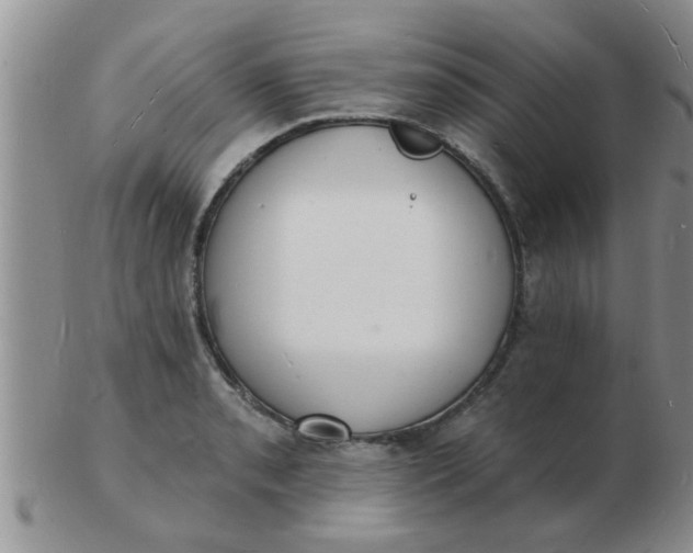 X0000103301085200809122024