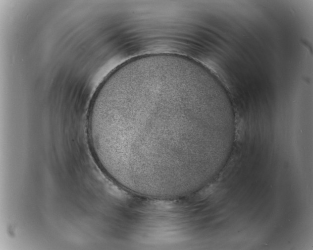 X0000103301086200809122024