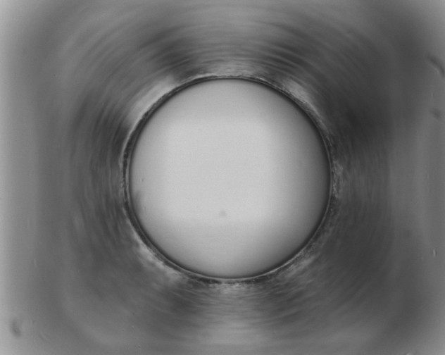 X0000103301087200809122024