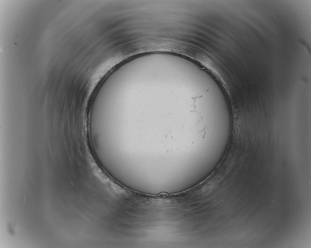 X0000103301088200809122024