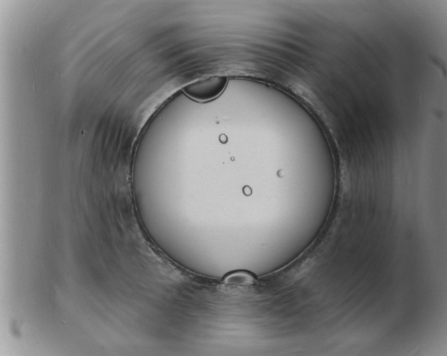 X0000103301089200809122024