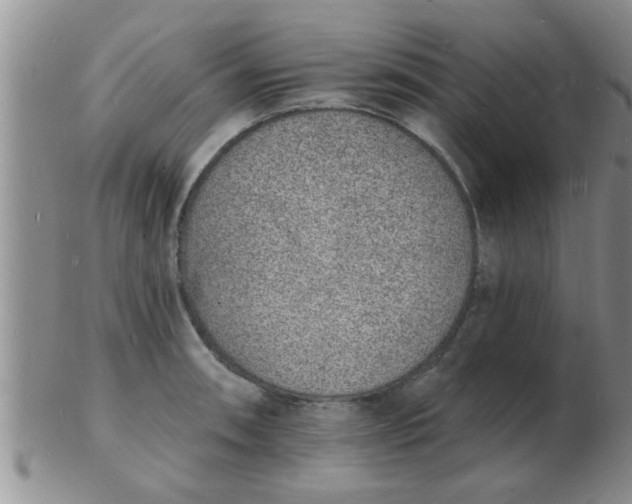 X0000103301090200809122024