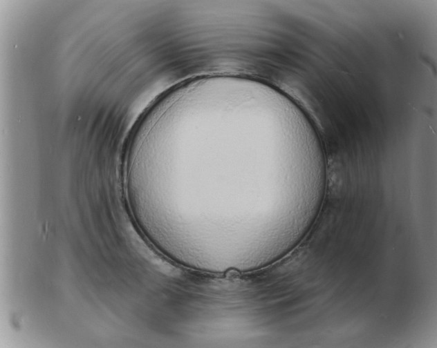 X0000103301091200809122024