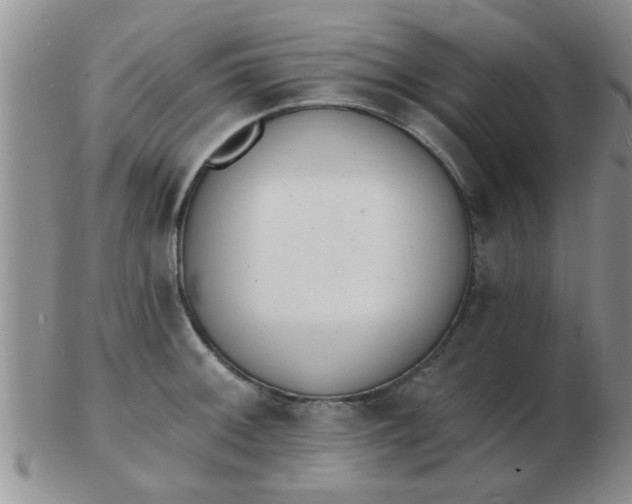 X0000103301092200809122024