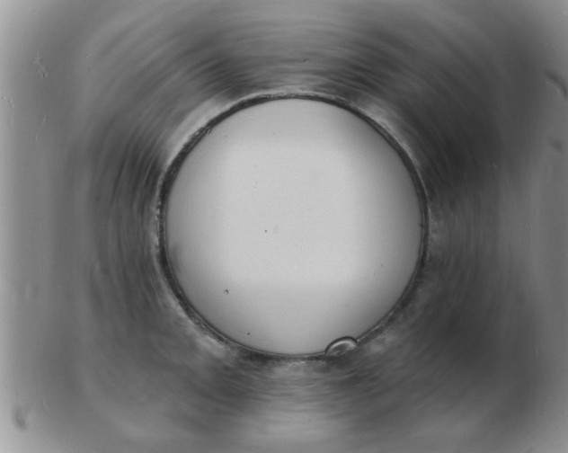 X0000103301093200809122024