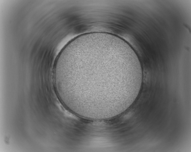 X0000103301094200809122024