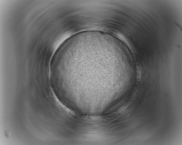 X0000103301095200809122024