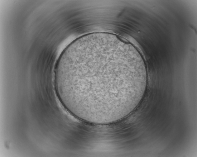 X0000103301096200809122024