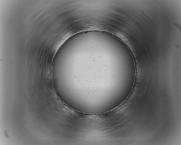 X0000103301097200809122024