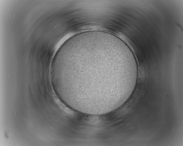 X0000103301098200809122024