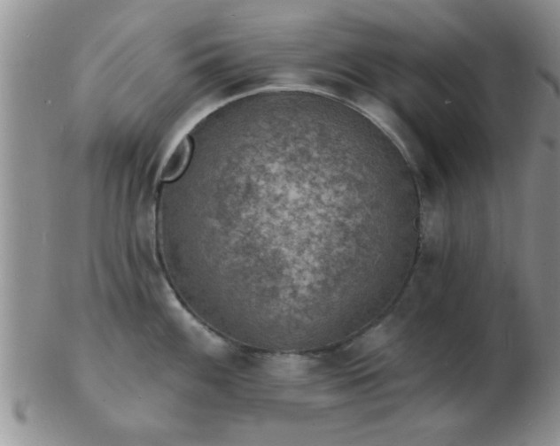 X0000103301100200809122024