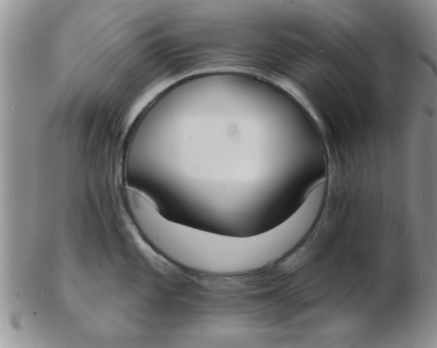 X0000103301101200809122024