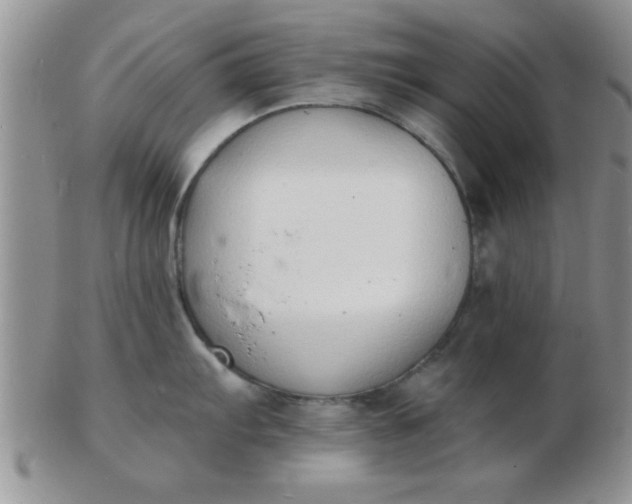 X0000103301103200809122024