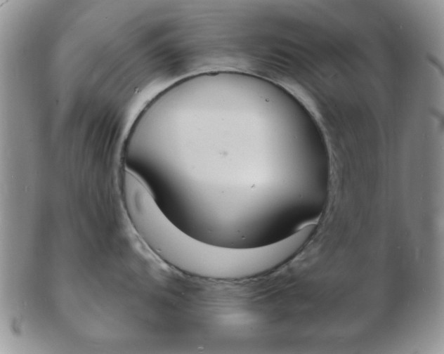 X0000103301104200809122024