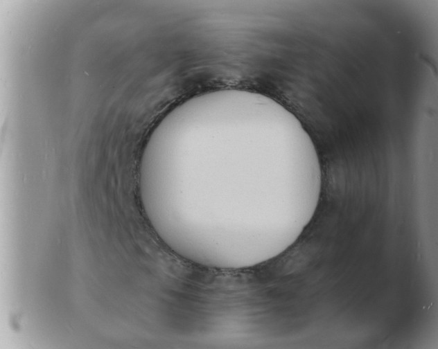 X0000103301105200809122023