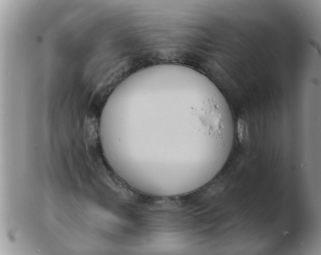 X0000103301107200809122023