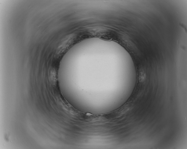 X0000103301108200809122023