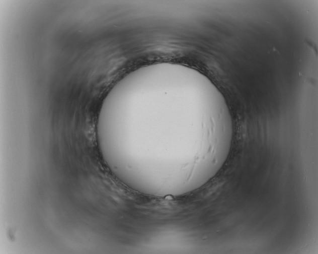 X0000103301109200809122023