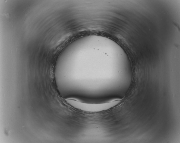 X0000103301110200809122023