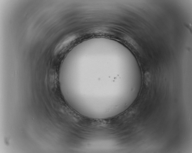 X0000103301111200809122023