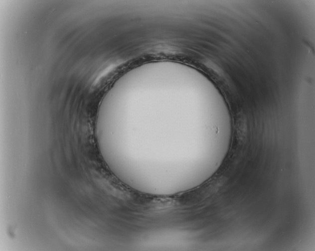 X0000103301112200809122023