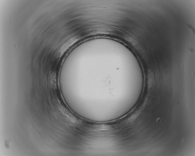 X0000103301113200809122023