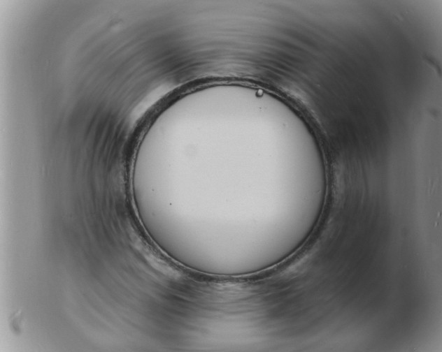 X0000103301114200809122023