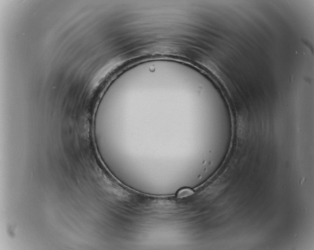 X0000103301115200809122023