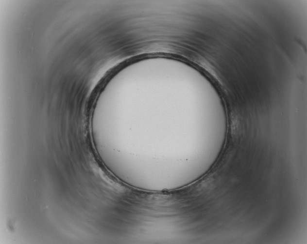 X0000103301116200809122023