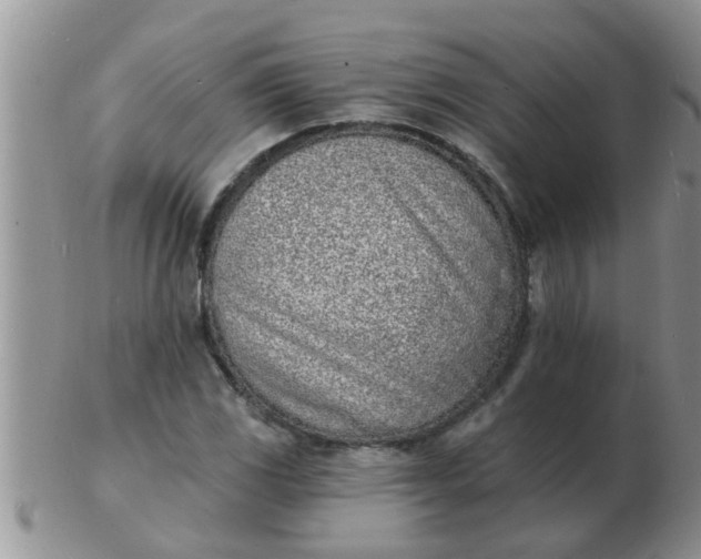 X0000103301117200809122023