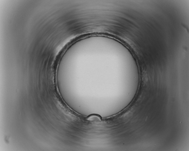 X0000103301118200809122023