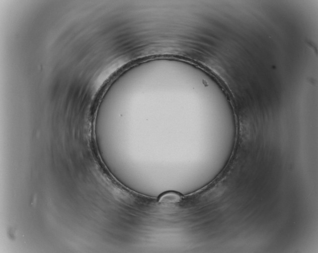 X0000103301119200809122023