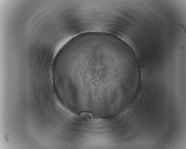 X0000103301120200809122023