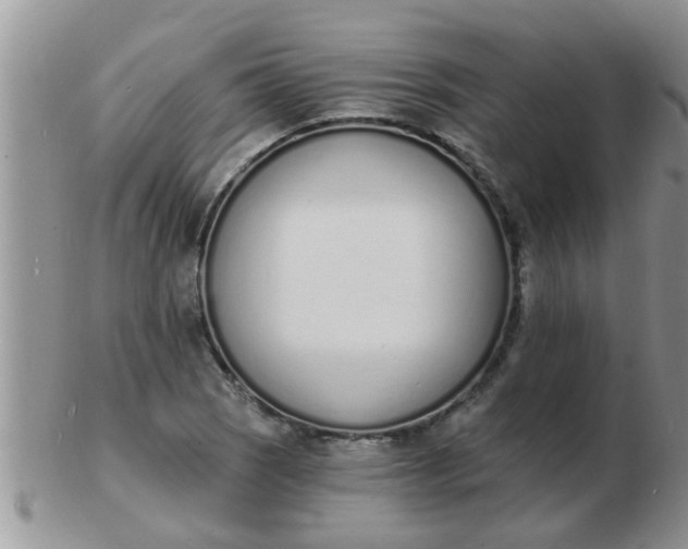 X0000103301121200809122024