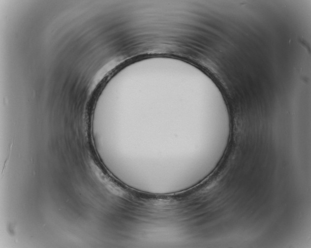 X0000103301122200809122024