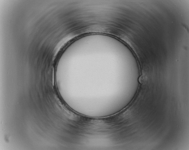 X0000103301123200809122024