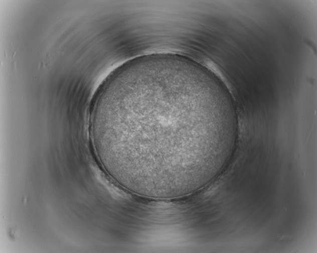 X0000103301124200809122024