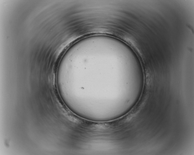 X0000103301125200809122024