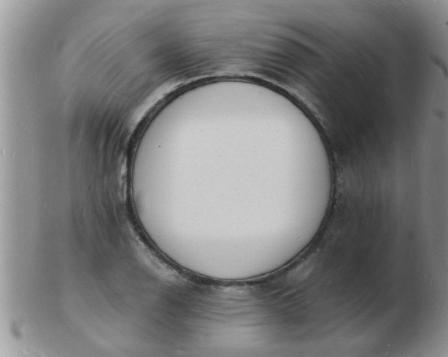 X0000103301126200809122024