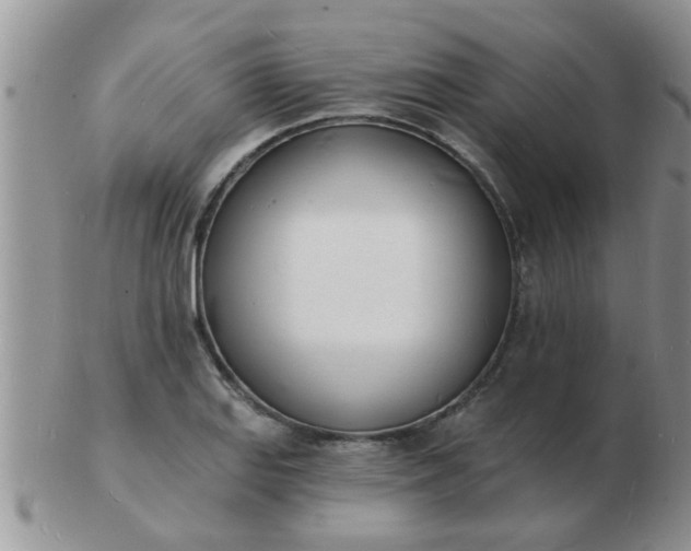 X0000103301127200809122024