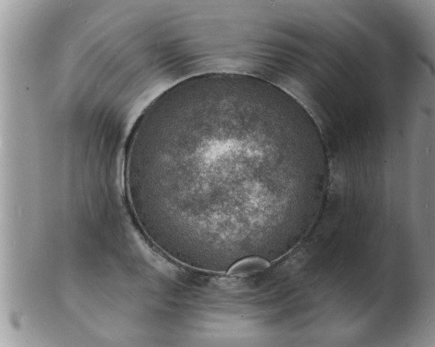 X0000103301128200809122024