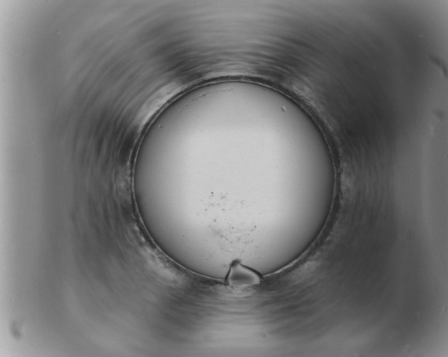 X0000103301129200809122024