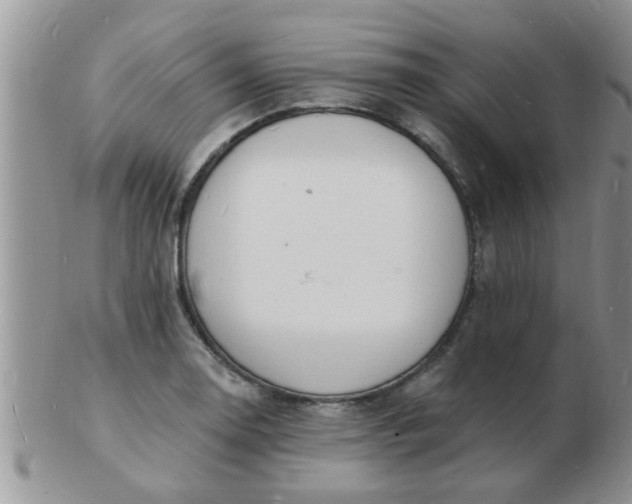 X0000103301130200809122024