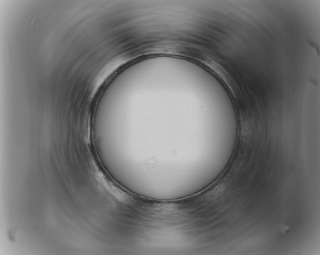 X0000103301131200809122024